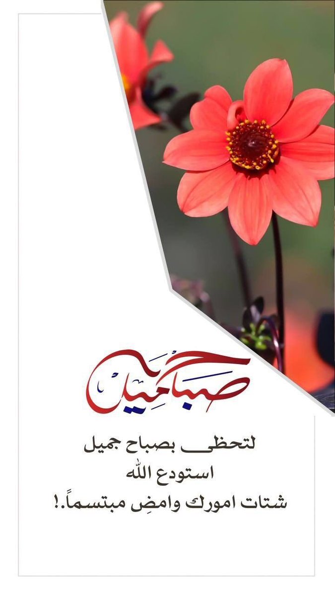#صِـبّـآحً_آلَأشّـيّآء_آلَمِشّـرقَة

لا تخنقوا أنفاس الصباح بهموم الأمس ، 
ابتسموا و اهمسوا لأرواحكم.
اللهم بك اصبحنا و عليك توكلنا. 

صباح الخير و السعادة🌸🌸