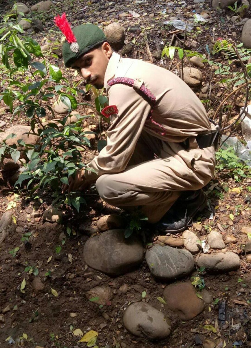 NCCDteJKL's tweet photo. #EkPedMaKNaam Living up to the true spirit, NCC cadets are planting trees at their homes and in their neighborhoods during summer holidays. Honoring the initiative, 'One Tree for Mother.' Supporting PM's initiative #एक_पेड़_माँ_के_नाम & NCC's #OneCadetOneTree #NCC @diprjk https://t.co/tRcOUlk0gh