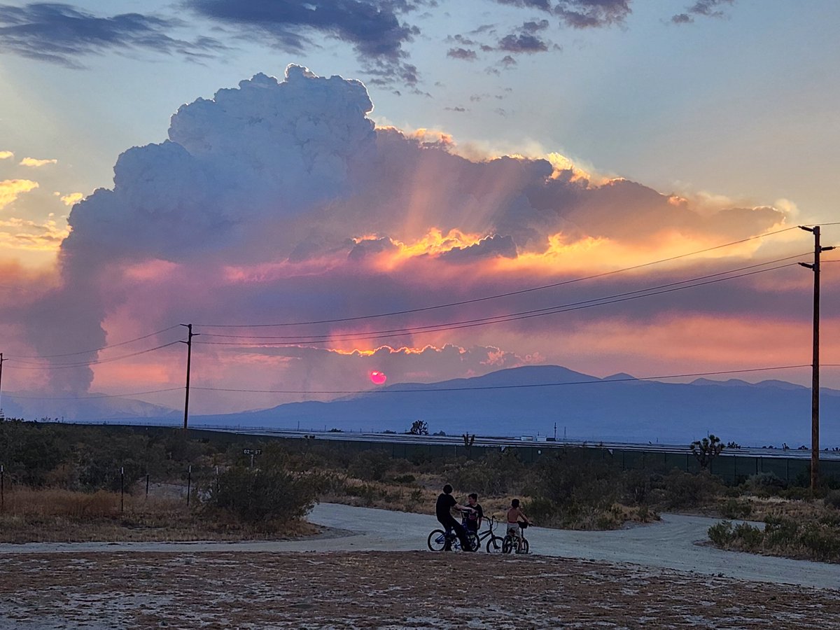 Kokoweef's tweet image. #whitefire