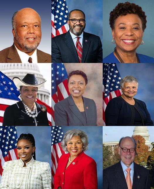 ChadMann12's tweet photo. On April 19, 2024, Reps. Bennie Thompson, Troy Carter, Barbara Lee, Frederica Wilson, Yvette Clarke, Bonnie Watson Coleman, Jasmine Crockett, Joyce Beatty, and Steve Cohen sponsored the bill to strip Trump of his Secret Service detail if convicted of a felony. @kytv @FoxNews https://t.co/09U0rrlDnZ