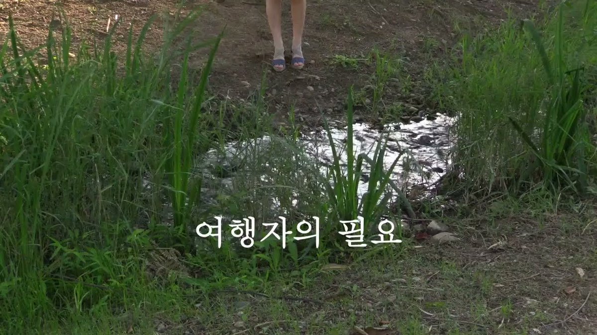 못본게 가득인 상태에서 내지른 2024 상반기 영화 4선. 한 편 꼽으라면 <태풍 클럽>. 39년지난 개봉한것이 되려 이 시대 관객들이 가진 가치관을 건드려...