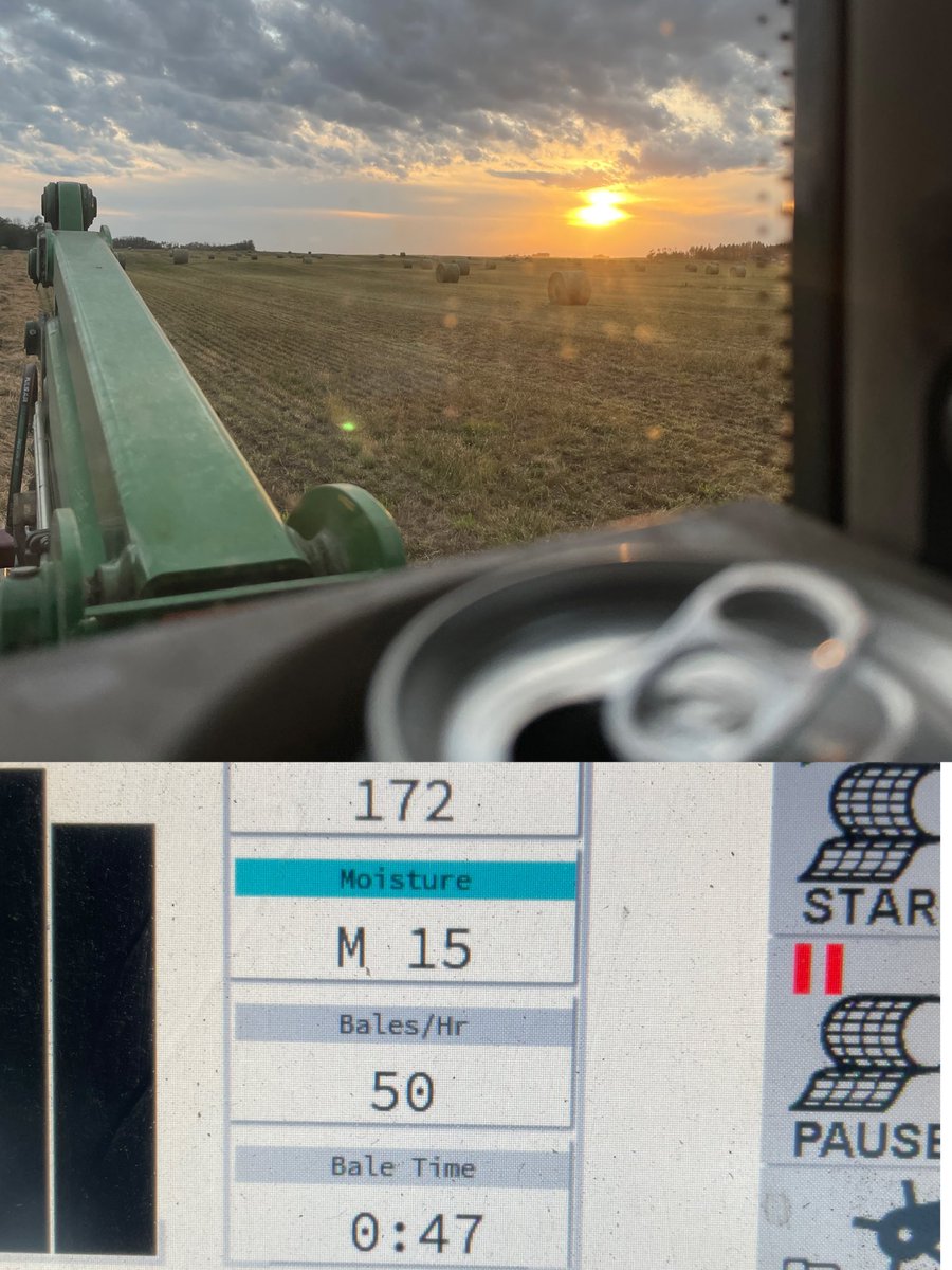 QuickDickMcDick 🇨🇦 tweet media