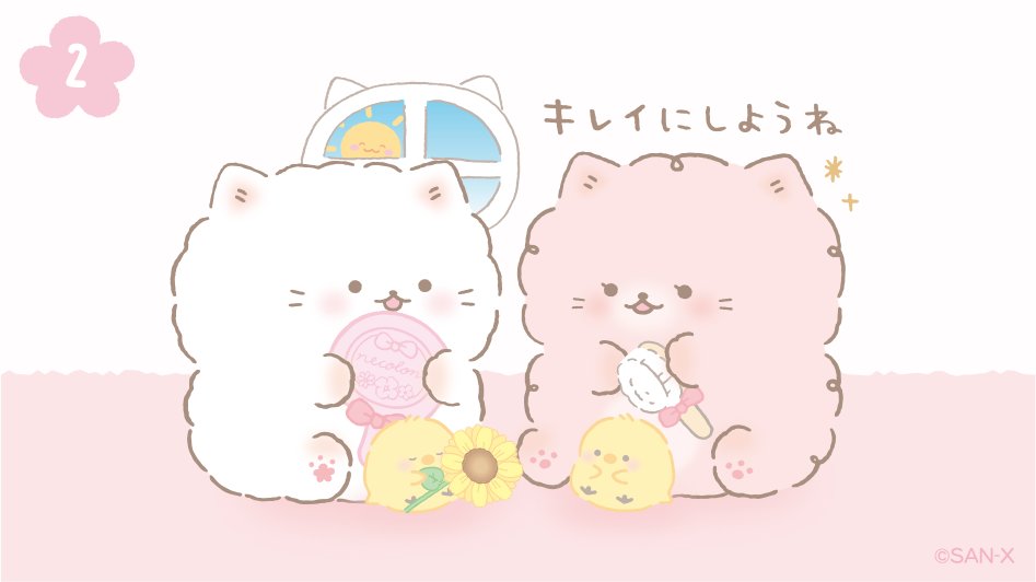 ふんわりねころん【公式】 tweet media