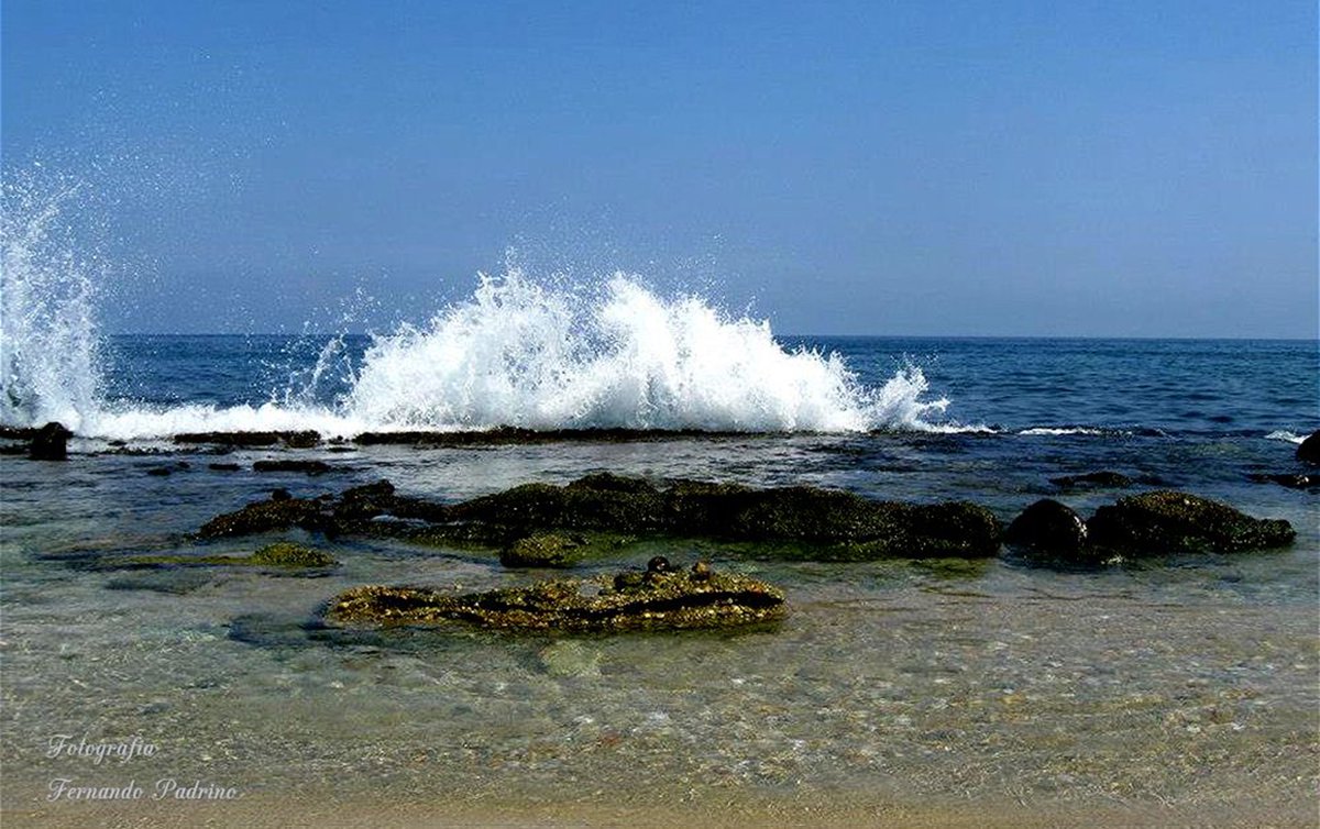 📸 #Fotografia Y rompe la ola en el arrecife de Cepe, costas de Aragua municipio Mariño <a href="/johanitakenpo/">Joana Sánchez</a> <a href="/CENAFotografia/">Centro Nacional de la Fotografía 📸</a> <a href="/VillegasPoljak/">Ernesto Villegas Poljak</a> <a href="/GMVivaVzla/">Gran Misión Viva Venezuela</a> <a href="/VeMisionCultura/">Misión Cultura</a> 
#PoesiaEnMovimiento 

#13Jul