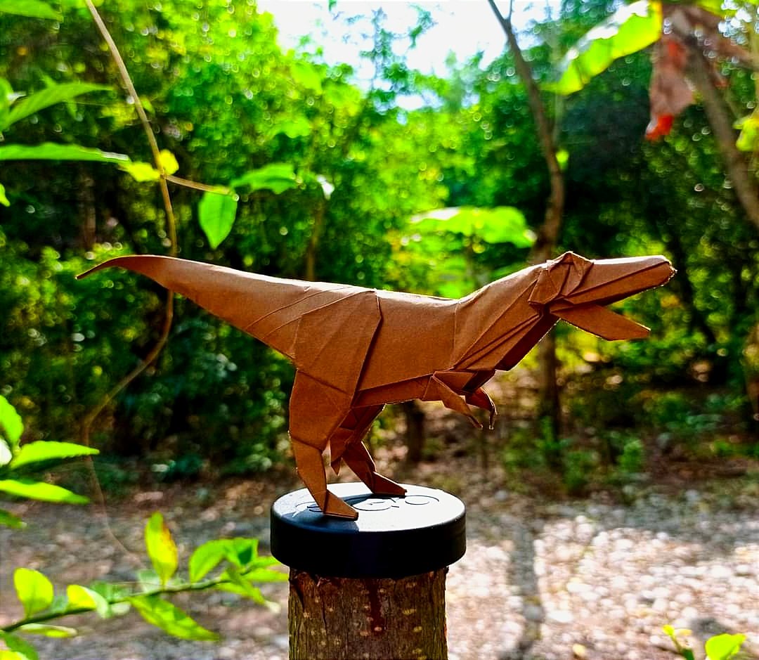 Mauro🐑 tweet media