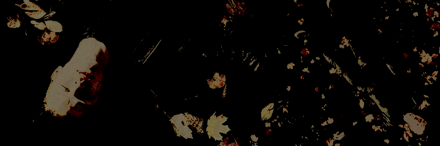 ᅟᅟᝰ‘ ᅟ𝙶𝙰𝙻𝙻𝙰𝙶𝙷𝙴𝚁ᅟ;ᅟᅟ tweet media