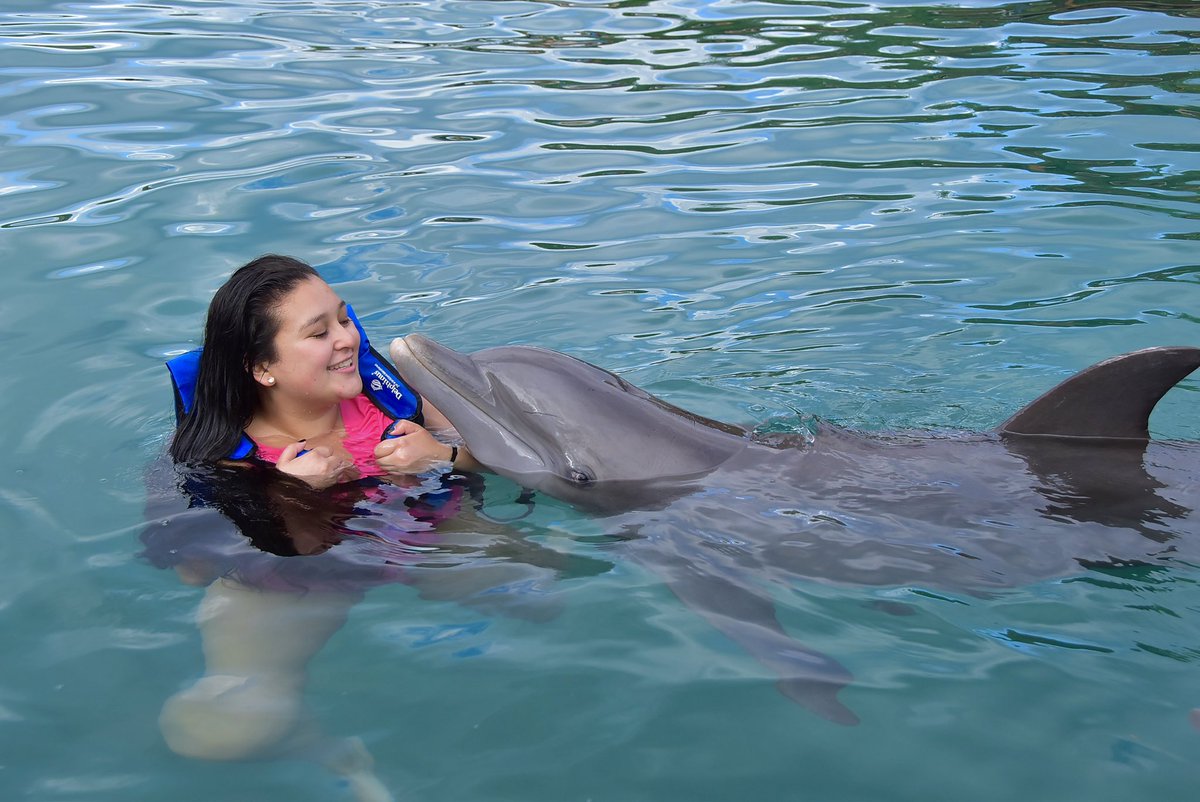 _valeriaquesada's tweet photo. Un sueño hecho realidad🐬🩵 https://t.co/oarhiqIqNY