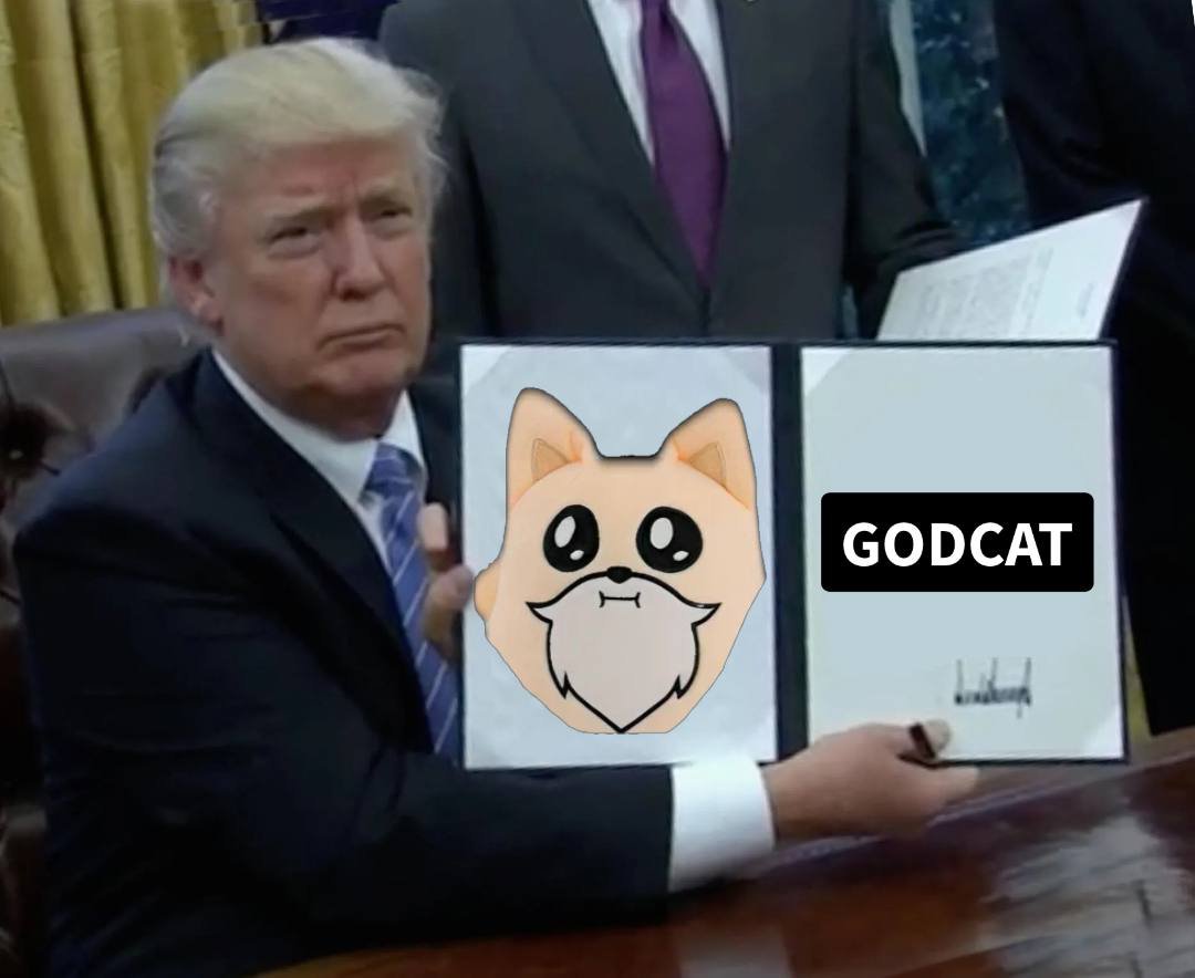 ezbucko's tweet photo. #1EAR loves #GODCAT https://t.co/3fgNMnbcUd