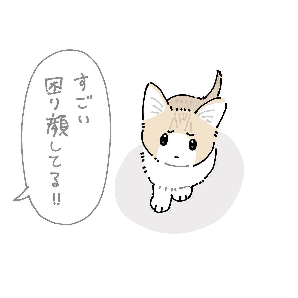 子猫ちゃんよく眉間にシワ寄せて困り顔しててすごくかわいい 本猫的にはこれが獲物を狙う真剣な顔のつもりらしい