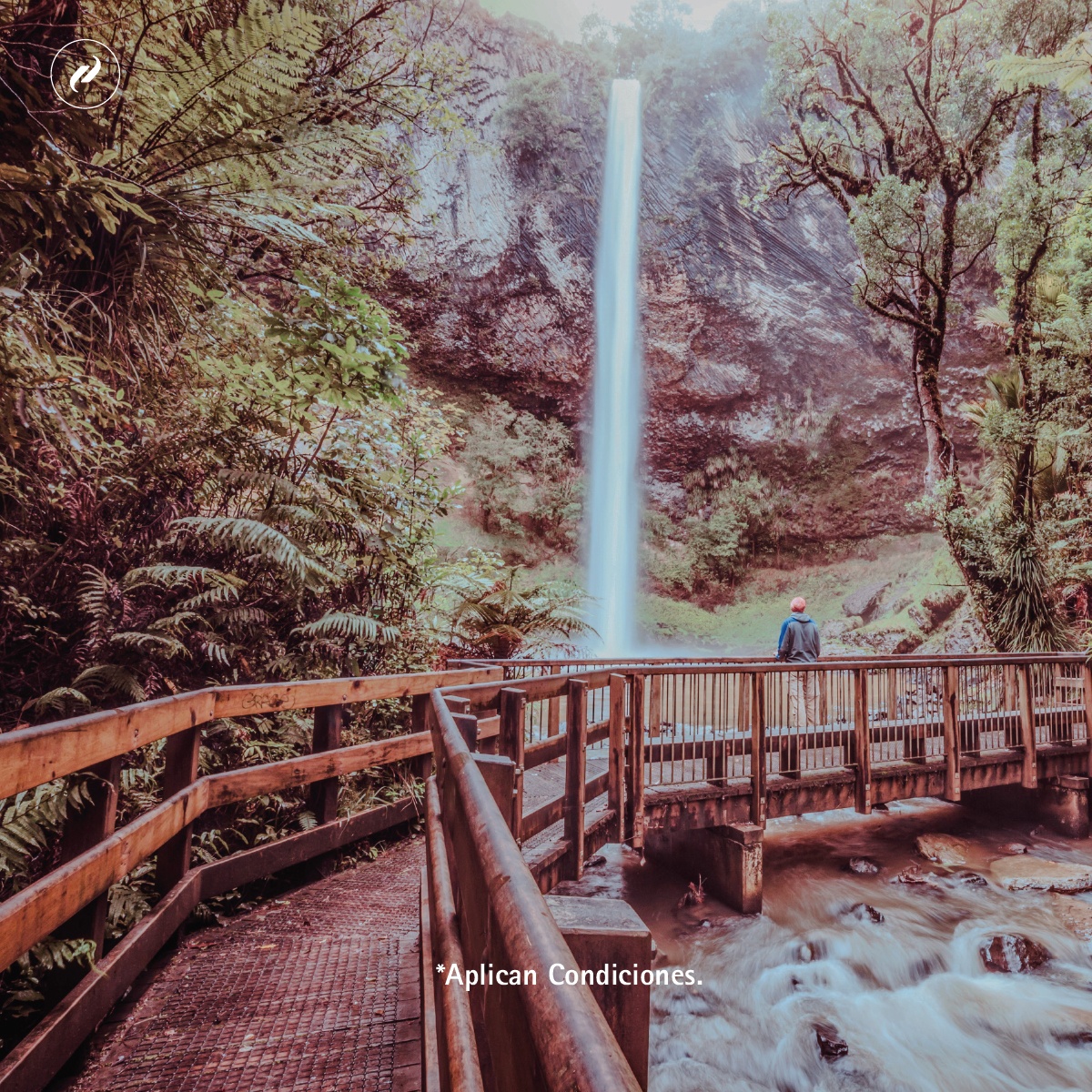 ✨ ¡Descubre la increíble Nueva Zelanda con #MetropolitanTouringAgenciadeViajes! 

🌟 Como los únicos representantes de <a href="/Virtuoso/">Virtuoso Travel</a> en Ecuador, te ofrecemos este exclusivo destino para que vivas una experiencia inigualable 👉️ landingpage.metropolitantouring.com.ec/virtuosotravel  

#VirtuosoTravel #SoVirtuoso