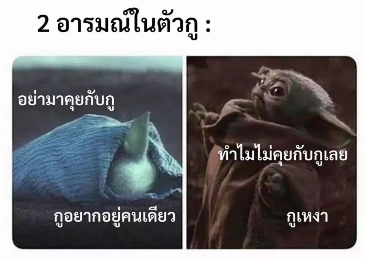ความรู้สึกของฉัน◡̈ tweet media