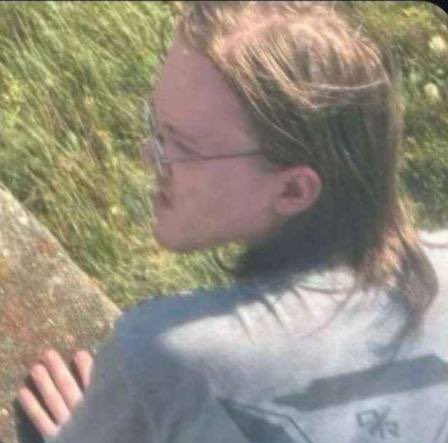 勃勃OC tweet media