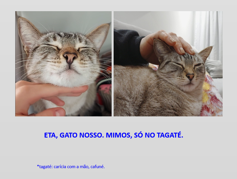 gilbertohira's tweet photo. #desafiopalindromo166

ETA, GATO NOSSO. MIMOS, SÓ NO TAGATÉ.  

*tagaté: carícia com a mão, cafuné.

#palindromo https://t.co/oXU5qyabir