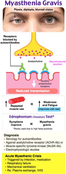 🔴 Myasthenic Crisis Alert! 🔴

A severe exacerbation of myasthenia gravis leading to respiratory failure. Look out for:

1.Severe muscle weakness
2.Difficulty speaking, swallowing, and breathing
3.Triggered by infections, stress, or meds