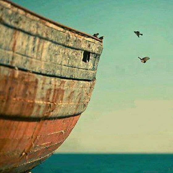 " فأردتُ أن أعيبها وكان وراءهم ملكٌ يأخذ كل سفينة غصبا " ..
لا تحزن .. فقد يصيبك ما تكره ، ليُدفع عنك ما هو أعظم "