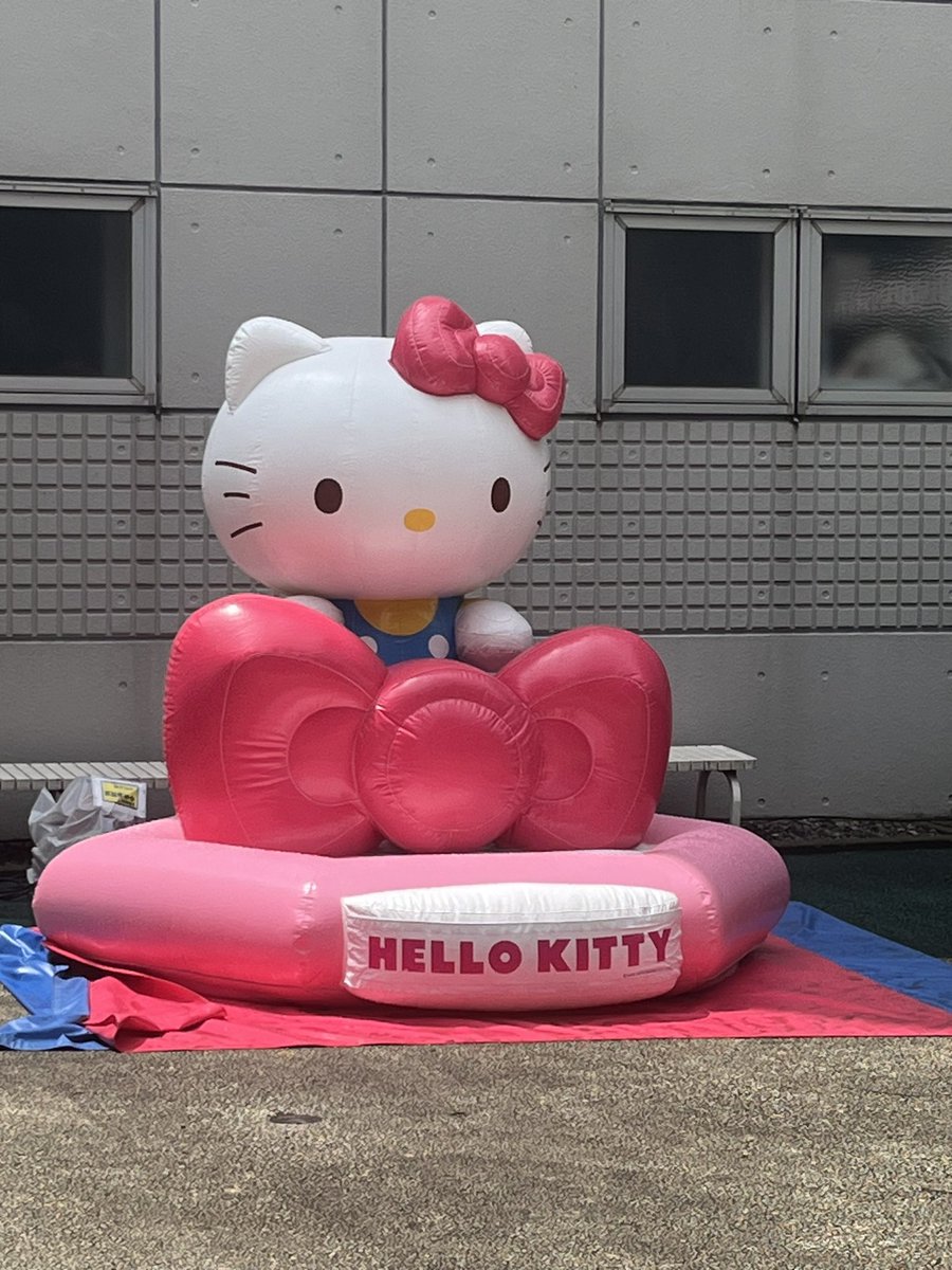 sunacya's tweet photo. かわいい💕💕💕好き🥰 https://t.co/KeTsEayJzR