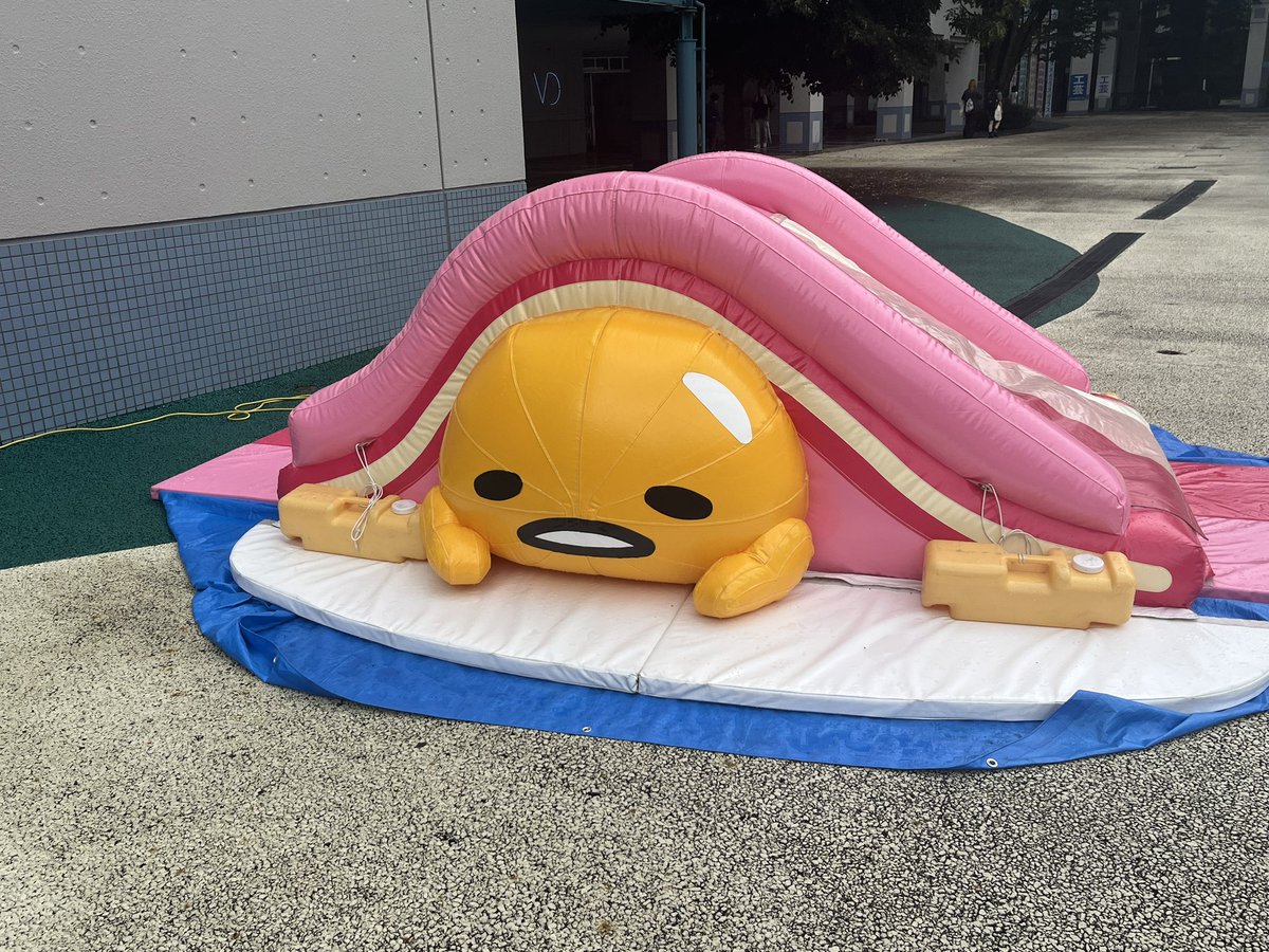 sunacya's tweet photo. かわいい💕💕💕好き🥰 https://t.co/KeTsEayJzR