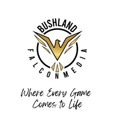 Bushland Falcon Media tweet media