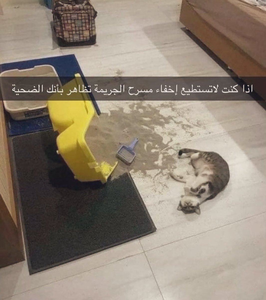 Egyptianmemees's tweet photo. هادف https://t.co/2FwvvEBSO0