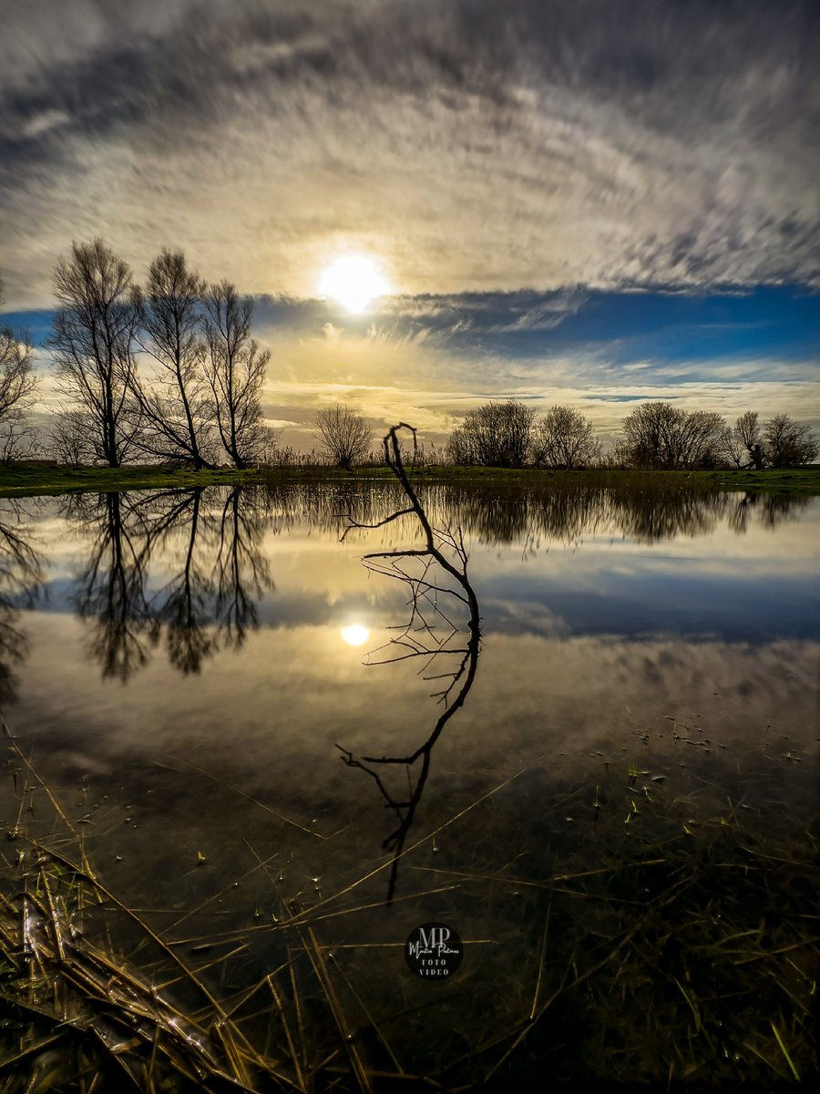 De reflectie van de tak midden in het water👌Van die pareltjes op het Groninger Hogeland