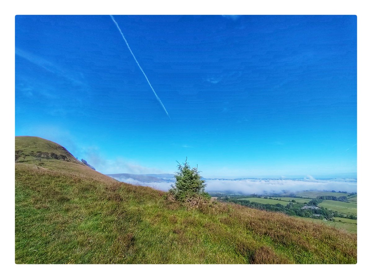 smoggiewalks's tweet photo. Above the clouds #getoutside #breconbeacons #explorelocal #BorderCollie #dogsoftwitter #BannauBrycheiniog #postnightshift @DerekTheWeather @OrdnanceSurvey @VisitBrecon https://t.co/bHBogrb2rn