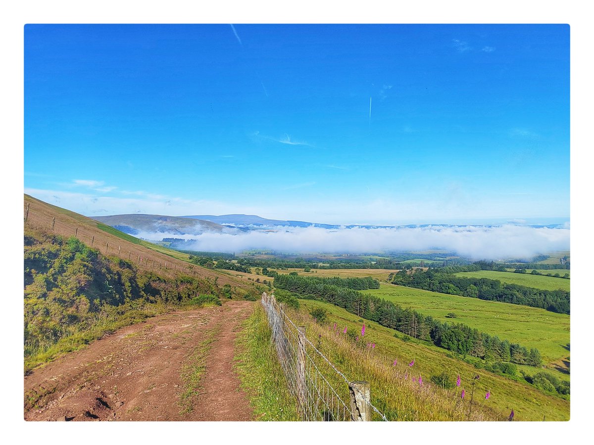 smoggiewalks's tweet photo. Above the clouds #getoutside #breconbeacons #explorelocal #BorderCollie #dogsoftwitter #BannauBrycheiniog #postnightshift @DerekTheWeather @OrdnanceSurvey @VisitBrecon https://t.co/bHBogrb2rn