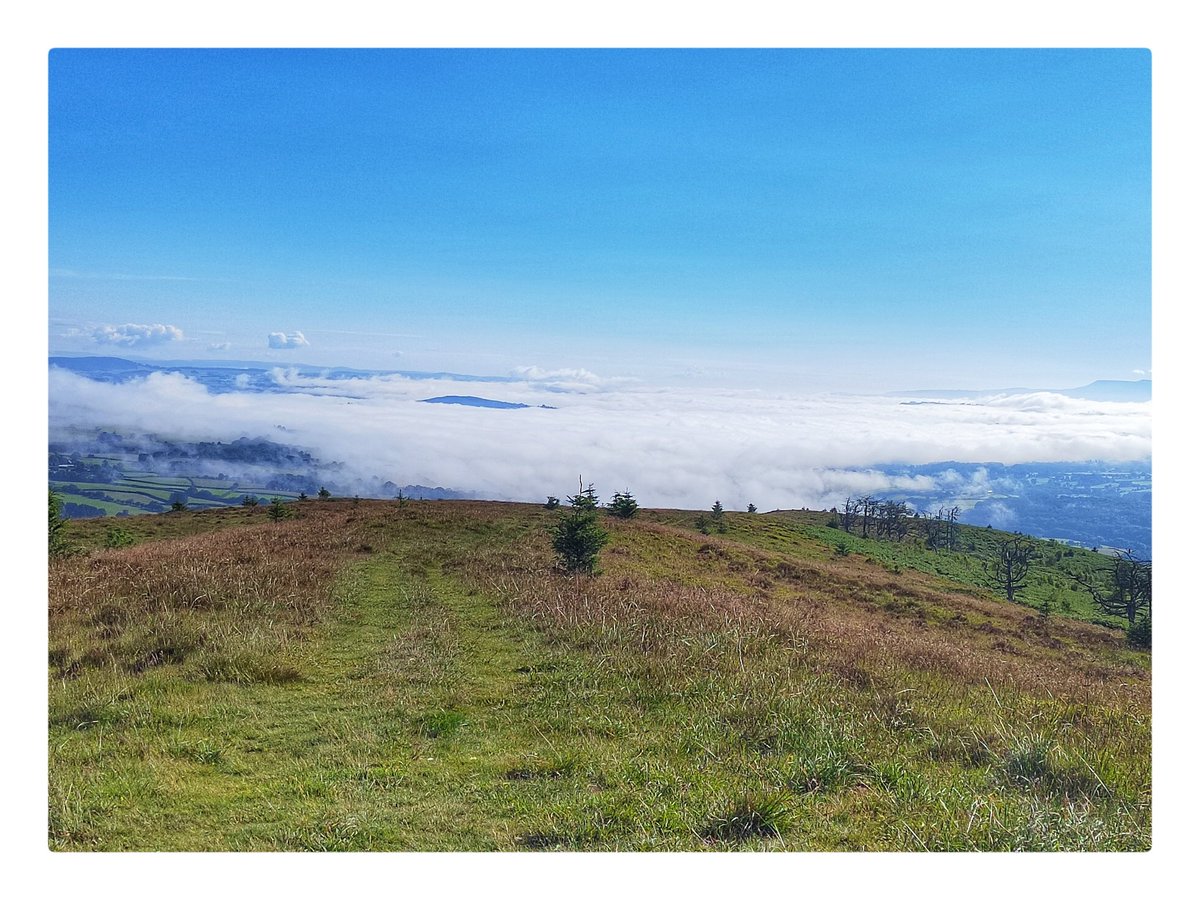 smoggiewalks's tweet photo. Above the clouds #getoutside #breconbeacons #explorelocal #BorderCollie #dogsoftwitter #BannauBrycheiniog #postnightshift @DerekTheWeather @OrdnanceSurvey @VisitBrecon https://t.co/bHBogrb2rn