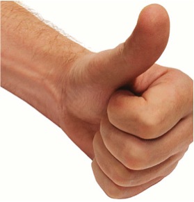 David McCartney tweet media