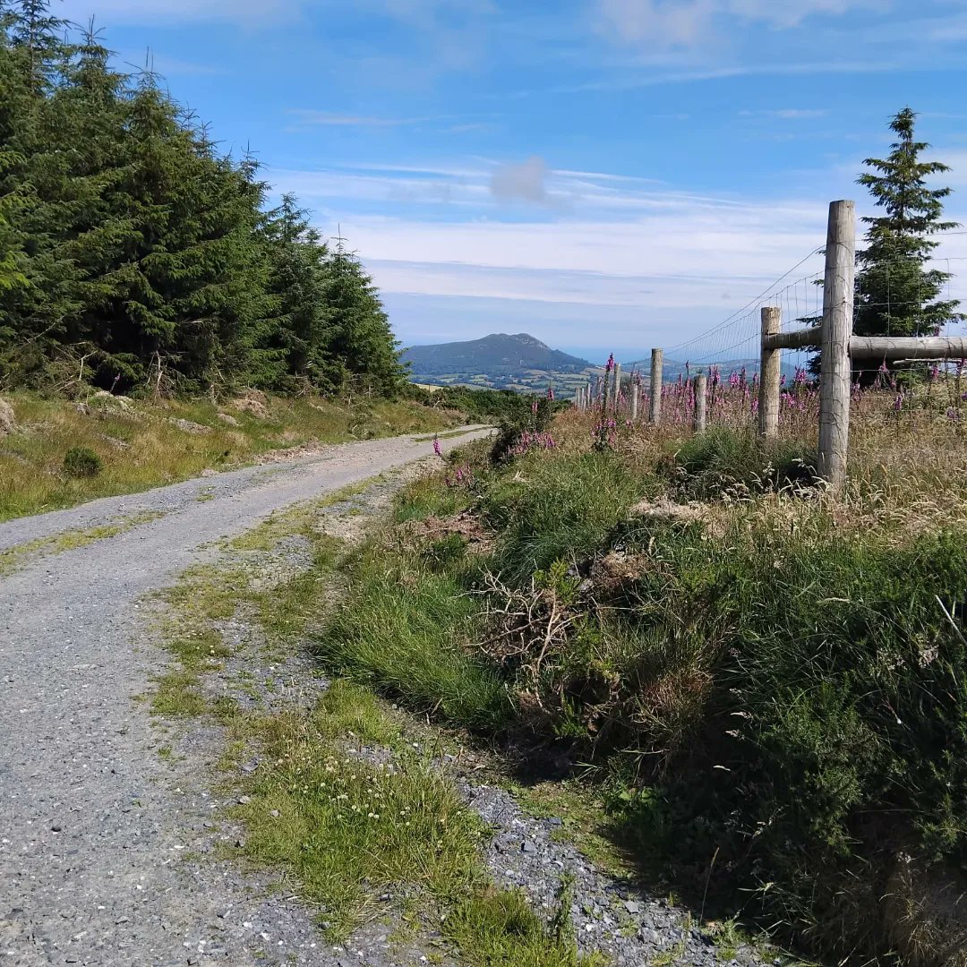 GuidedHiking's tweet photo. Beginners hike on Downs Hill with great company.

@visitwicklow @VisitDublin @GoToIreland @Failte_Ireland @IrelandAncient https://t.co/E1TDd8pjmc