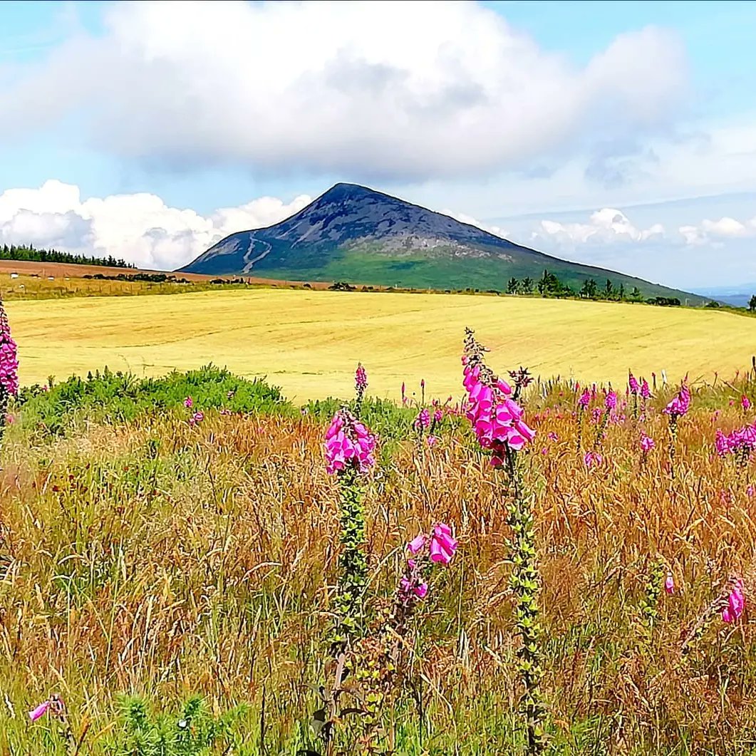 Beginners hike on Downs Hill with great company.

@visitwicklow <a href="/VisitDublin/">Visit Dublin</a> <a href="/GoToIreland/">Discover Ireland</a> <a href="/Failte_Ireland/">Fáilte Ireland</a> <a href="/IrelandAncient/">IrelandsAncientEast</a>
