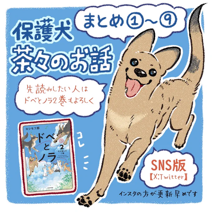 【保護犬茶々のお話】
(1/9)
まとめてみました✨
雨の連休の暇つぶしにでもどうぞ〜
#漫画が読めるハッシュタグ 