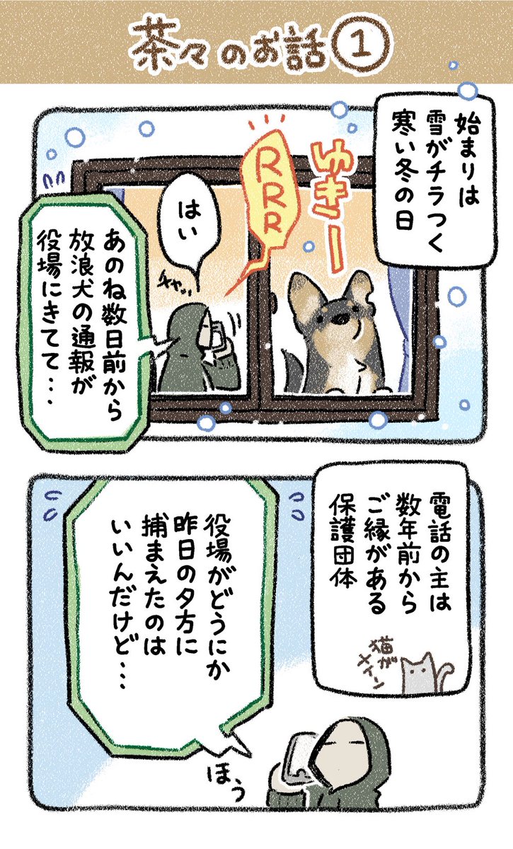 【保護犬茶々のお話】
(1/9)
まとめてみました✨
雨の連休の暇つぶしにでもどうぞ〜
#漫画が読めるハッシュタグ 