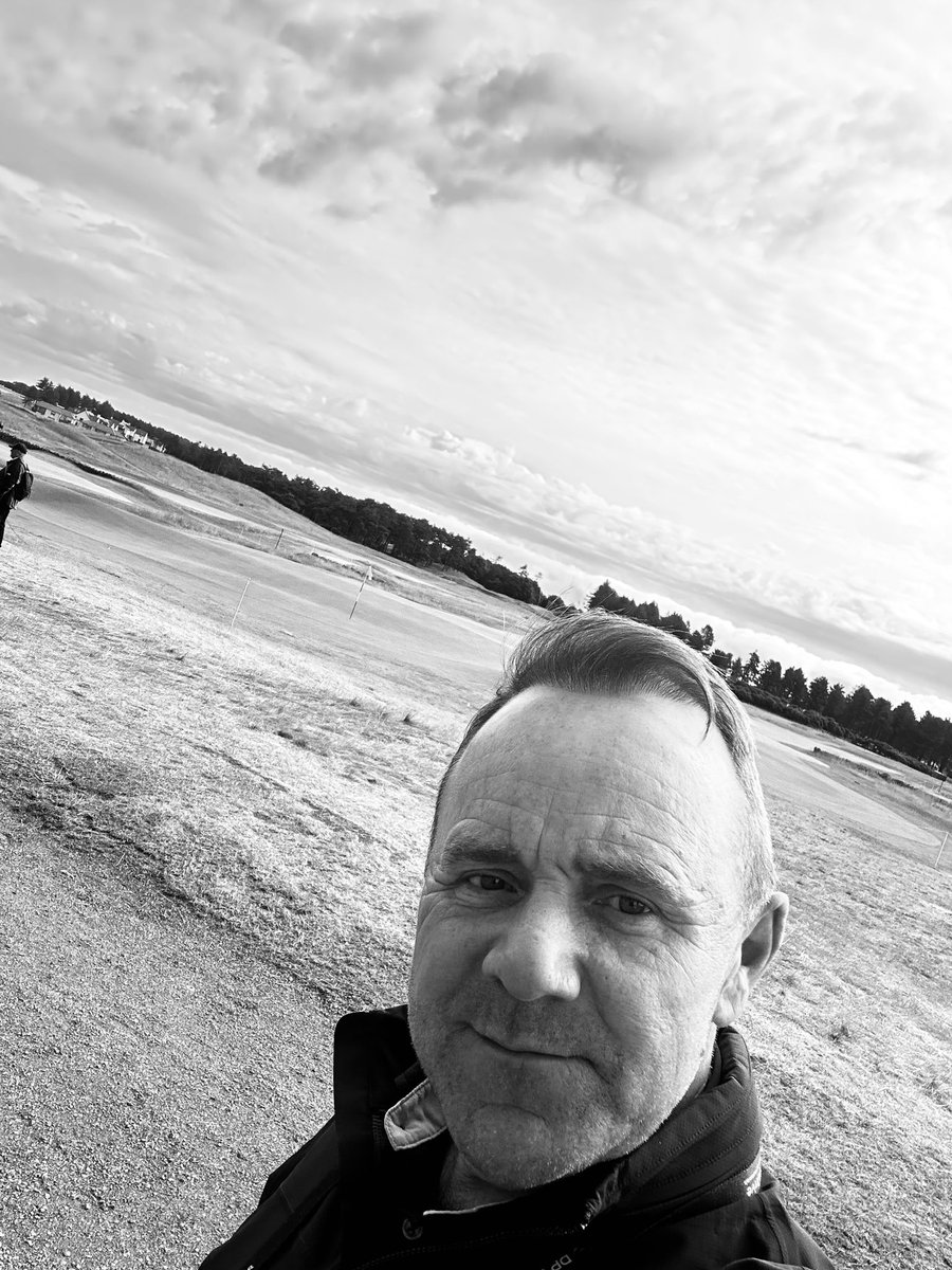 Dominicbott tweet media