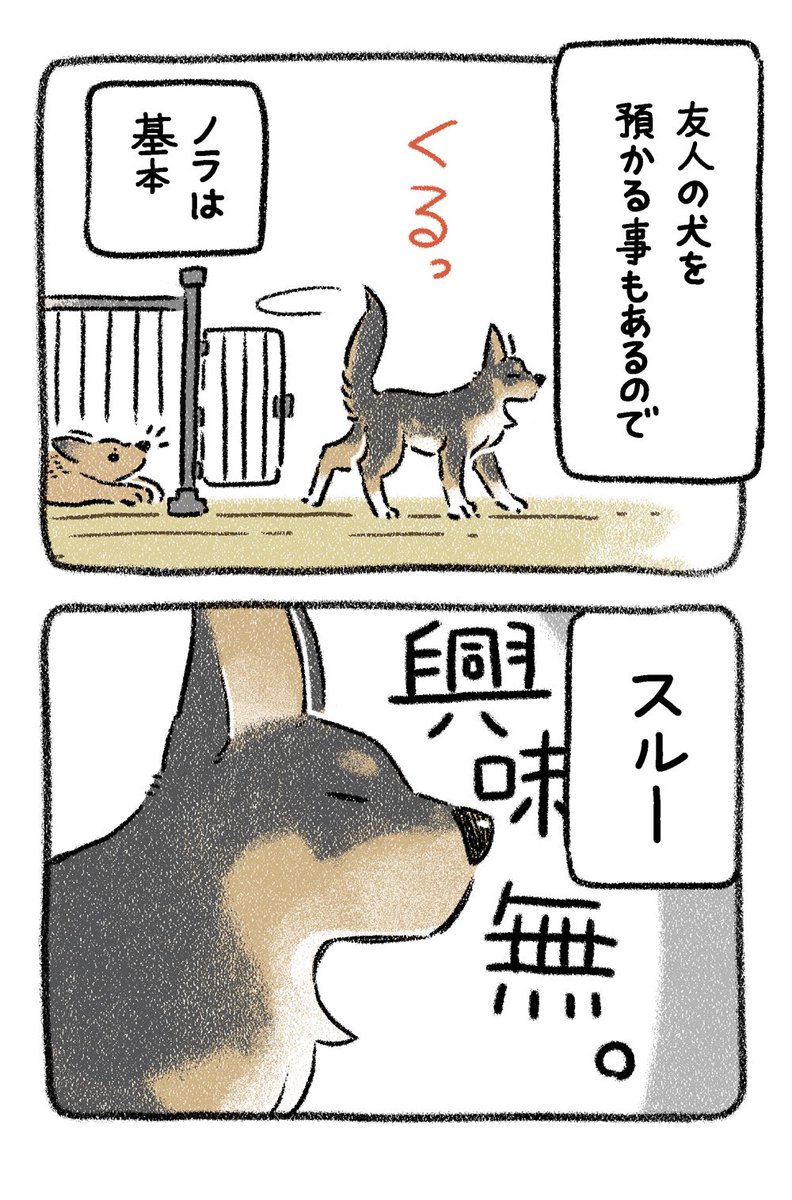 (9/9) 