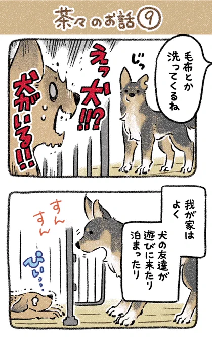 (9/9) 