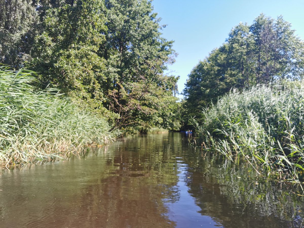 PatrycjaaPatii's tweet photo. Dzień święty świecić z @Baronowa_Kat ☀️
#Kajak #Piasnica #Debki https://t.co/RfrC2Wydz8