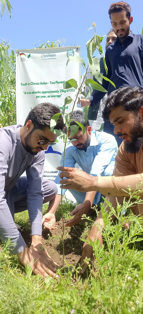 YoLoGoPak's tweet photo. Special thanks to the LGE&amp;RDD for their support and to everyone who participated. Together, we're not just planting trees; we're planting the seeds of a sustainable future.

#YouthinClimateAction
#PlantTrees
#DaraAdamKhel https://t.co/0wMMti3XiH