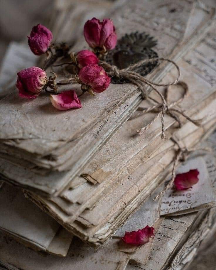 بعض القلوب جافه ك اوراق الخريف .
مهما رويتها . لن تخضر ابد . فلا ترهق نفسك واتركها للريح ..💔⚡️🍂☕️