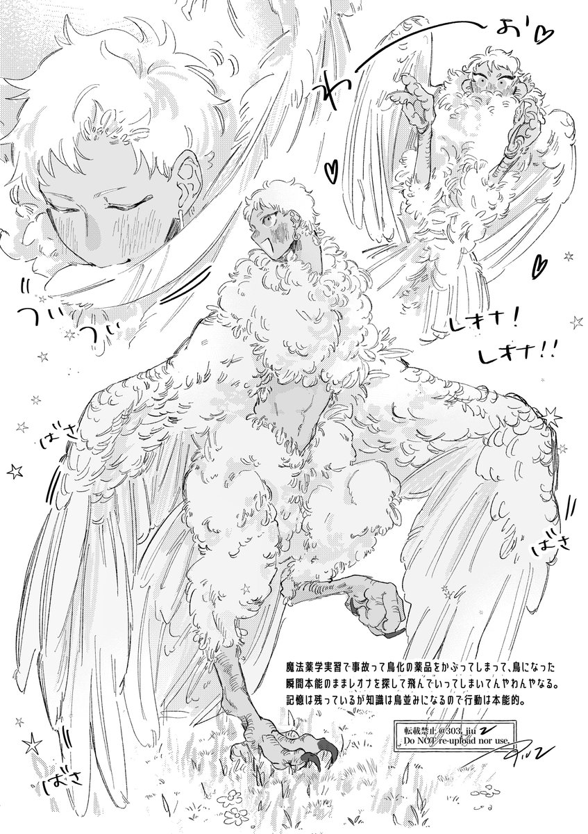 微レオカリ、鳥化注意
鳥化した☀️くん 