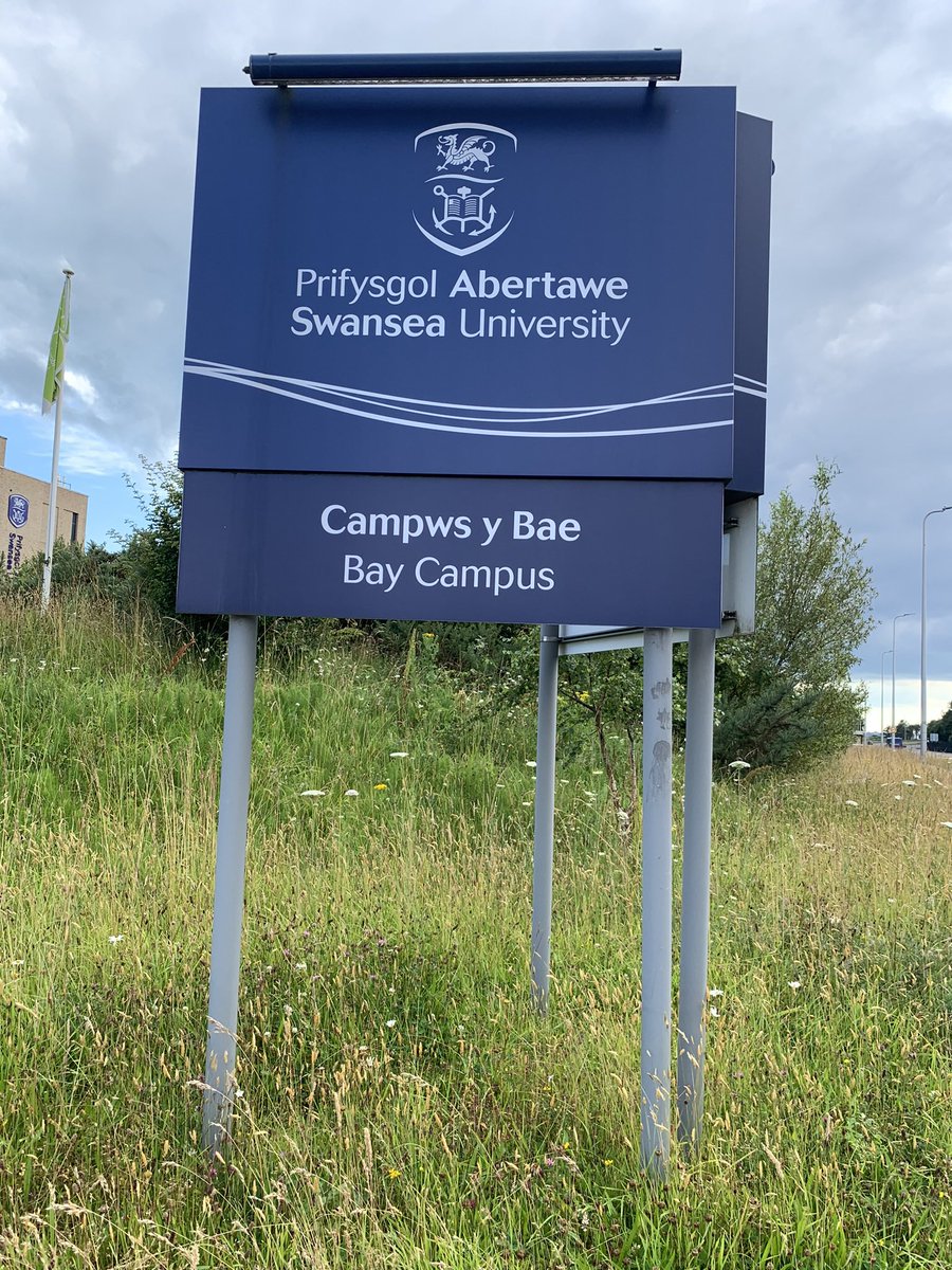 flograttarola's tweet photo. I’m at Swansea 🏴󠁧󠁢󠁷󠁬󠁳󠁿 for #ISEC2024 first timer 🤩 On Wednesday I’ll be presenting our work on integrated + joint SDMs = IJSDMs https://t.co/LW29xpdbHD