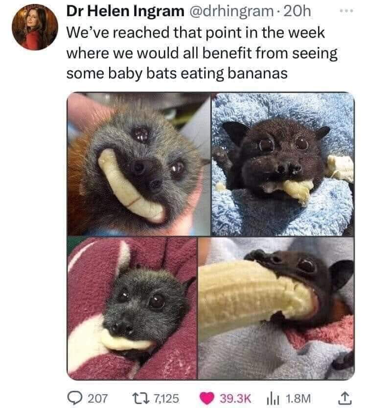 Me  chancing my arm: Just take a small bite to start with

My patient with definite cognitive overlay: