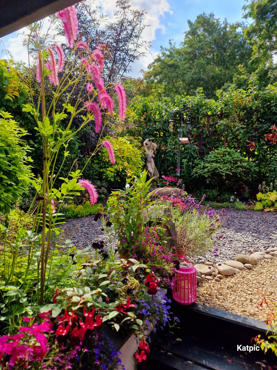 E16Kat's tweet photo. #Essex
#Gardener https://t.co/prmI07QBv0