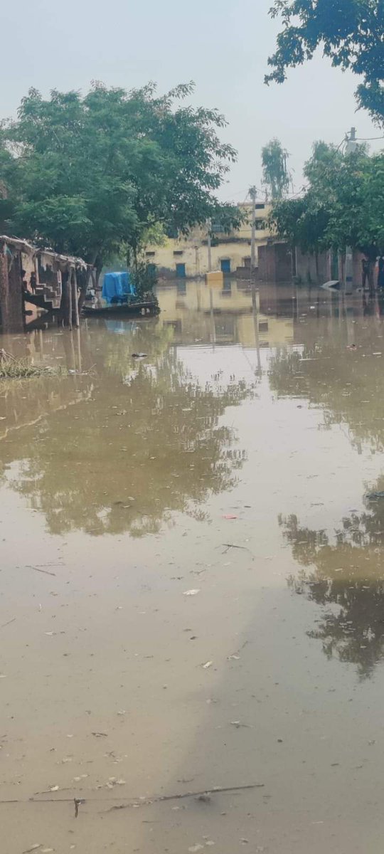 मीडिया और समाज शिक्षक को बहुत कुदृष्टि से देख रहा । भला हो श्री अमिताभ अग्निहोत्री जी का जिन्होंने हमेशा समाज को सच्चाई से रूबरू कराया है। धरातल पर उतरिये श्रीमान तब समझ आएगा शिक्षकों का दर्द।
#NoInfraNoAttendance
#standwithupbasicteachers
#मांगो_के_सम्मान_में
<a href="/myogiadityanath/">Yogi Adityanath</a>