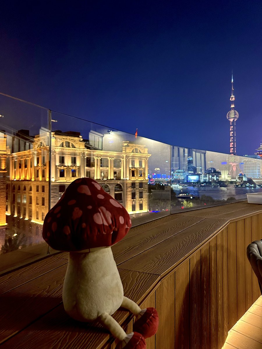 🍄🌃

#bilibiliworld2024 
#ダンジョン飯 #DeliciousinDungeon