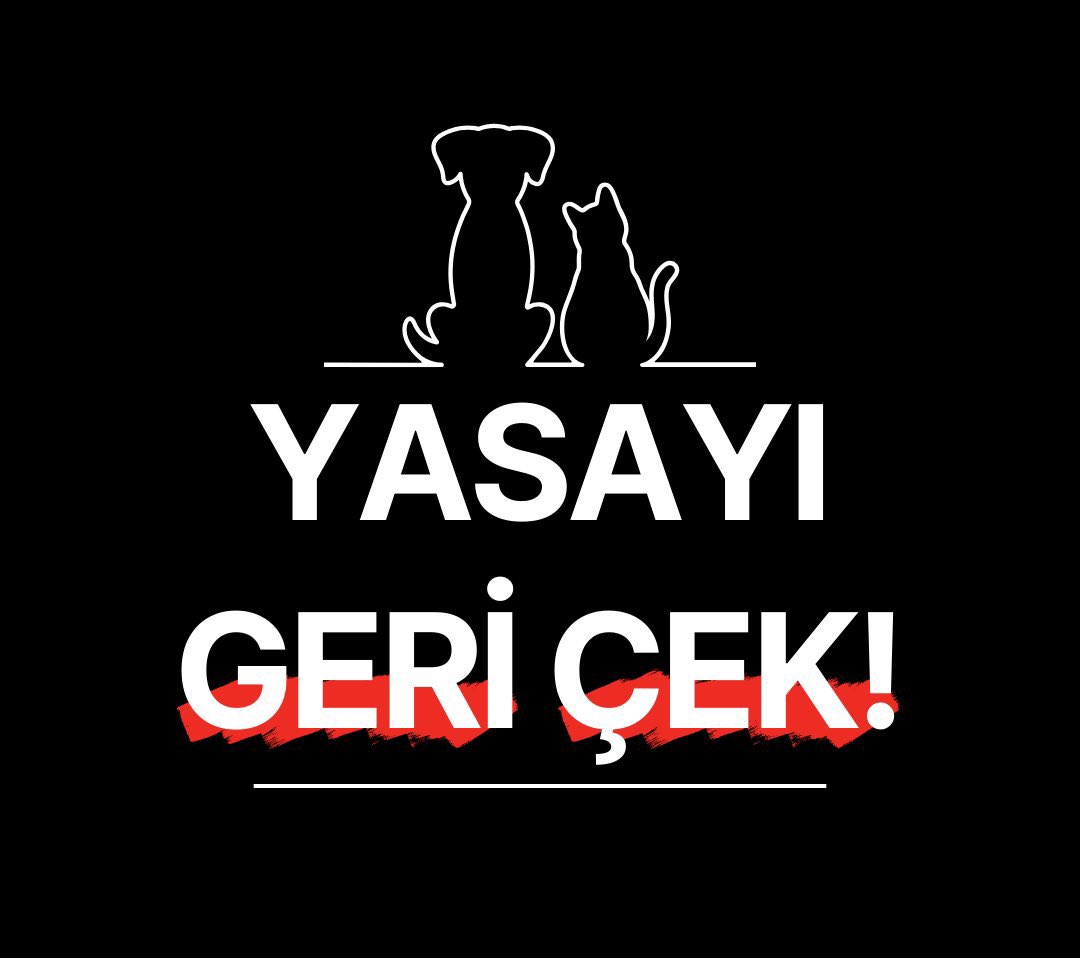 melikedemirag's tweet photo. #YASAYIGERİÇEK 
Hayvanları öldürme.
İnsanlık dibe vurmasın. https://t.co/taDsWzHupf