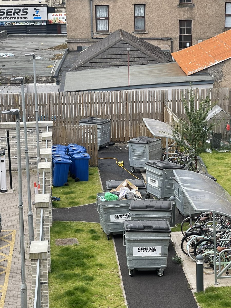 Lisa Flynn tweet media