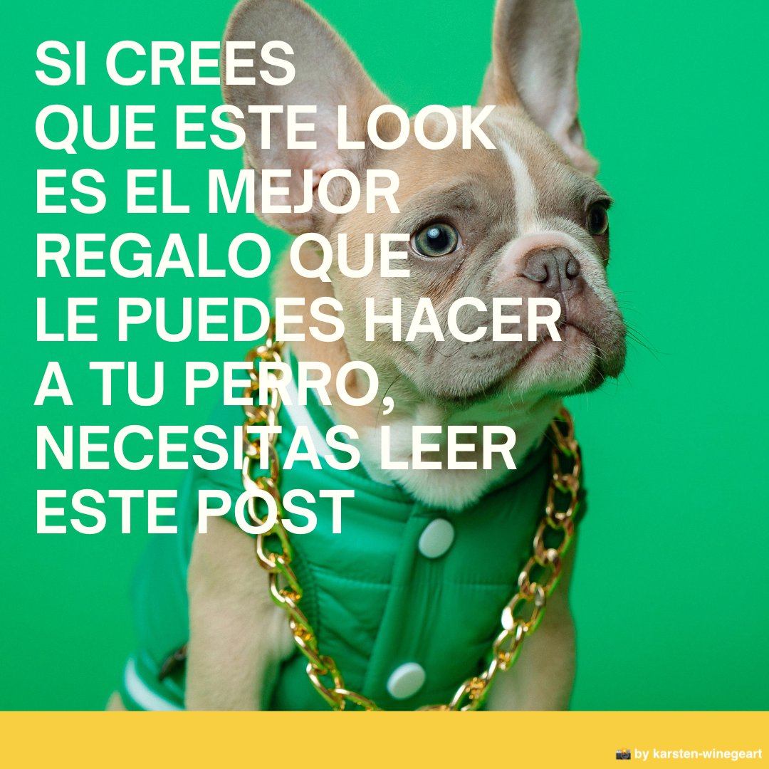EAPNes's tweet photo. 🐶Tu perrito también quiere más parques y menos asfalto
#Operacionbotijo #FrenarElCalor @FuturoEnComun
https://t.co/GbPacOmFkP https://t.co/oN1SpgQ1dU