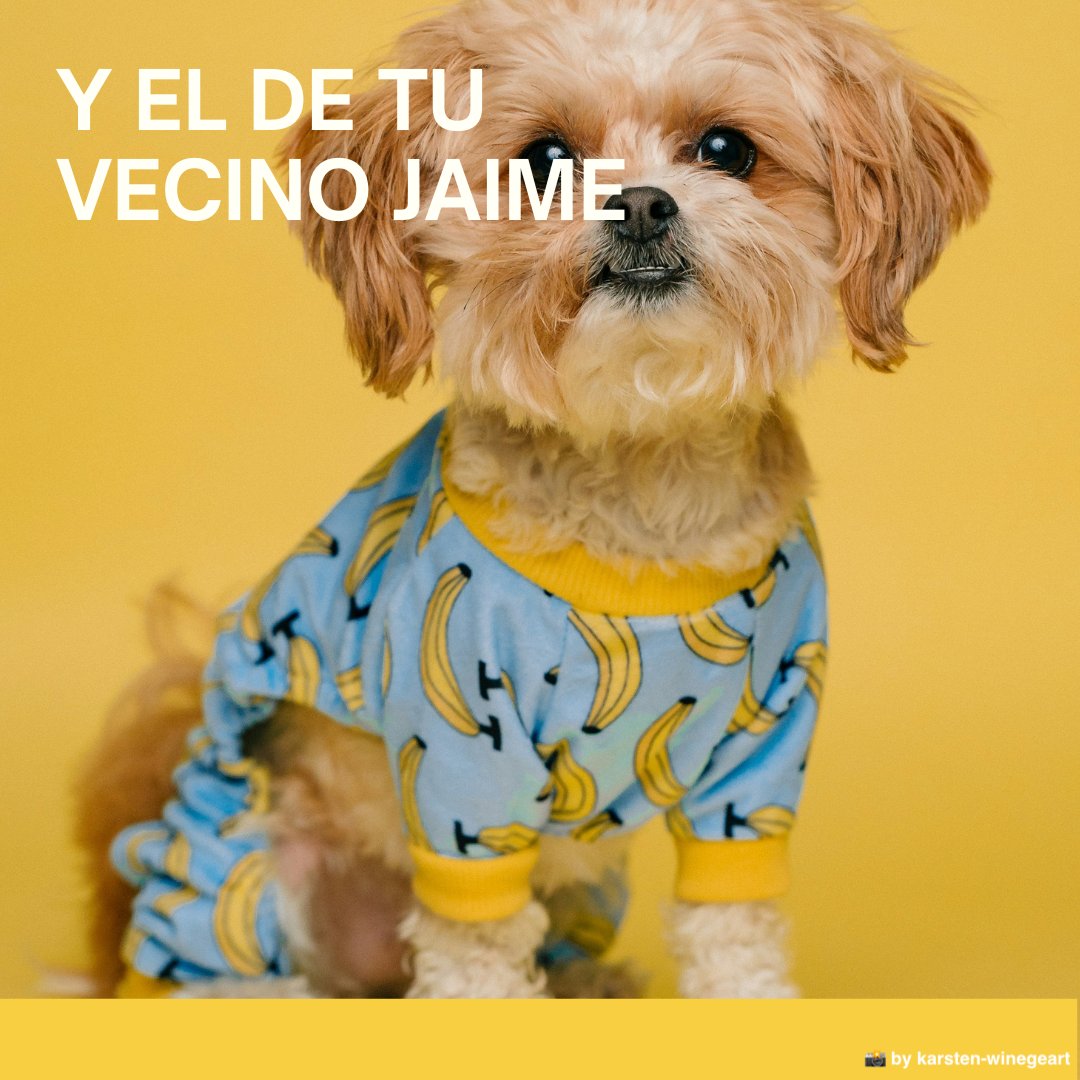 EAPNes's tweet photo. 🐶Tu perrito también quiere más parques y menos asfalto
#Operacionbotijo #FrenarElCalor @FuturoEnComun
https://t.co/GbPacOmFkP https://t.co/oN1SpgQ1dU