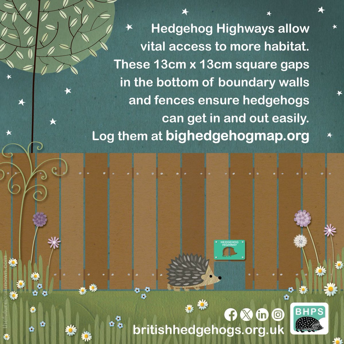 Hedgehog Society tweet media