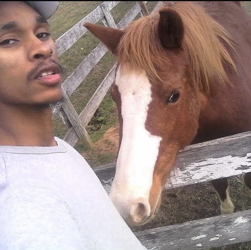 6scarecrows's tweet photo. mood https://t.co/DvnB6iNfH1